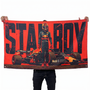 Red Bull Racing Formula 1 Wall Tapestry | Premium Polyester F1 Racing Wall Hanging | Motorsport Room Decor