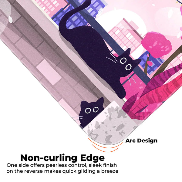 Playful Black Cats Deskmat