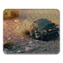 Battle Hardened Edition Mousepad